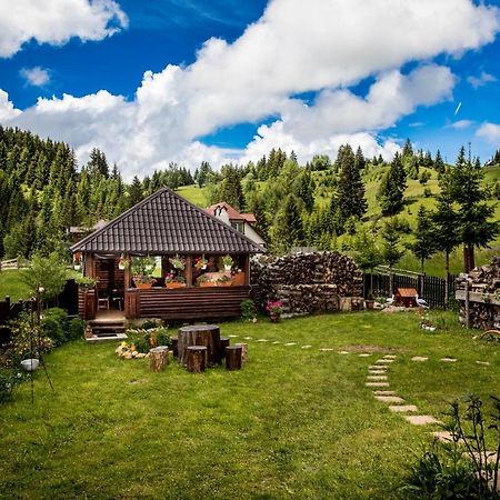 Casa Cerbul Villa ฟุนดาตา ภายนอก รูปภาพ