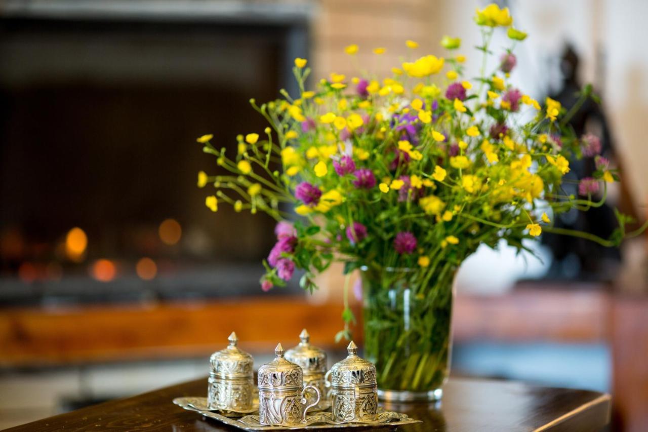 Casa Cerbul Villa ฟุนดาตา ภายนอก รูปภาพ